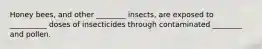 Honey bees, and other ________ insects, are exposed to __________ doses of insecticides through contaminated ________ and pollen.