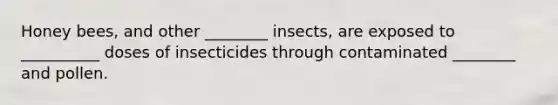 Honey bees, and other ________ insects, are exposed to __________ doses of insecticides through contaminated ________ and pollen.