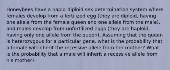 Honeybees have a haplo-diploid sex determination system where females develop from a fertilized egg (they are diploid, having one allele from the female queen and one allele from the male), and males develop from unfertilized eggs (they are haploid, having only one allele from the queen). Assuming that the queen is heterozygous for a particular gene, what is the probability that a female will inherit the recessive allele from her mother? What is the probability that a male will inherit a recessive allele from his mother?