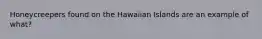 Honeycreepers found on the Hawaiian Islands are an example of what?