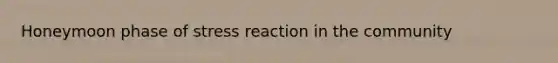 Honeymoon phase of stress reaction in the community