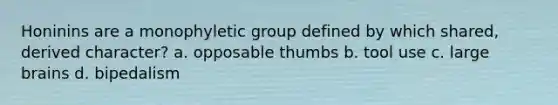 Honinins are a monophyletic group defined by which shared, derived character? a. opposable thumbs b. tool use c. large brains d. bipedalism