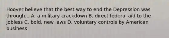 Hoover believe that the best way to end the Depression was through... A. a military crackdown B. direct federal aid to the jobless C. bold, new laws D. voluntary controls by American business