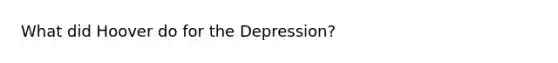 What did Hoover do for the Depression?