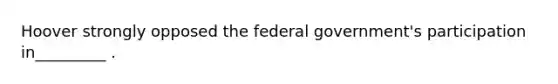 Hoover strongly opposed the federal government's participation in_________ .