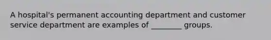 A hospital's permanent accounting department and customer service department are examples of ________ groups.