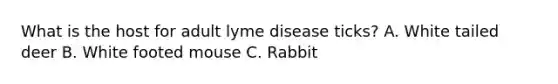 What is the host for adult lyme disease ticks? A. White tailed deer B. White footed mouse C. Rabbit