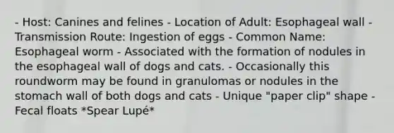 - Host: Canines and felines - Location of Adult: Esophageal wall - Transmission Route: Ingestion of eggs - Common Name: Esophageal worm - Associated with the formation of nodules in the esophageal wall of dogs and cats. - Occasionally this roundworm may be found in granulomas or nodules in <a href='https://www.questionai.com/knowledge/kLccSGjkt8-the-stomach' class='anchor-knowledge'>the stomach</a> wall of both dogs and cats - Unique "paper clip" shape - Fecal floats *Spear Lupé*