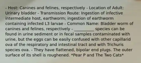 - Host: Canines and felines, respectively - Location of Adult: <a href='https://www.questionai.com/knowledge/kb9SdfFdD9-urinary-bladder' class='anchor-knowledge'>urinary bladder</a> - Transmission Route: Ingestion of infective intermediate host, earthworm; ingestion of earthworm containing infected L3 larvae - Common Name: Bladder worm of canines and felines, respectively - __________ species can be found in urine sediment or in fecal samples contaminated with urine, but the eggs can be easily confused with other capillarid ova of the respiratory and intestinal tract and with Trichuris species ova. - They have flattened, bipolar end plugs. The outer surface of its shell is roughened. *Pear P and The Two Cats*