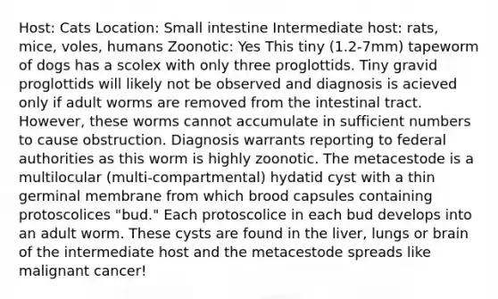 Host: Cats Location: Small intestine Intermediate host: rats, mice, voles, humans Zoonotic: Yes This tiny (1.2-7mm) tapeworm of dogs has a scolex with only three proglottids. Tiny gravid proglottids will likely not be observed and diagnosis is acieved only if adult worms are removed from the intestinal tract. However, these worms cannot accumulate in sufficient numbers to cause obstruction. Diagnosis warrants reporting to federal authorities as this worm is highly zoonotic. The metacestode is a multilocular (multi-compartmental) hydatid cyst with a thin germinal membrane from which brood capsules containing protoscolices "bud." Each protoscolice in each bud develops into an adult worm. These cysts are found in the liver, lungs or brain of the intermediate host and the metacestode spreads like malignant cancer!