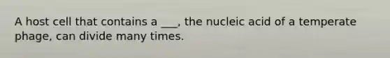 A host cell that contains a ___, the nucleic acid of a temperate phage, can divide many times.