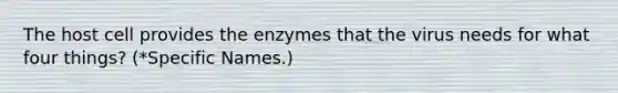 The host cell provides the enzymes that the virus needs for what four things? (*Specific Names.)