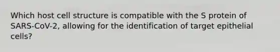 Which host cell structure is compatible with the S protein of SARS-CoV-2, allowing for the identification of target epithelial cells?