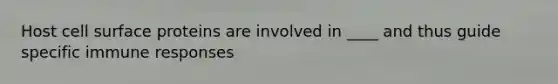Host cell surface proteins are involved in ____ and thus guide specific immune responses