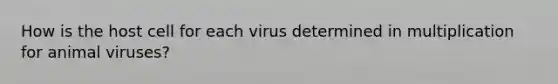 How is the host cell for each virus determined in multiplication for animal viruses?