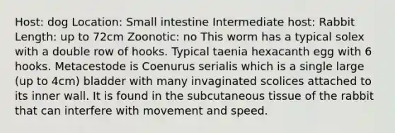 Host: dog Location: Small intestine Intermediate host: Rabbit Length: up to 72cm Zoonotic: no This worm has a typical solex with a double row of hooks. Typical taenia hexacanth egg with 6 hooks. Metacestode is Coenurus serialis which is a single large (up to 4cm) bladder with many invaginated scolices attached to its inner wall. It is found in the subcutaneous tissue of the rabbit that can interfere with movement and speed.