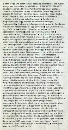 ▪ Host: Dogs and other canids, cats and other felids, and human beings too, (especially small children.) A ZOONOTIC PARASITE Kingdom: Animalia Phylum: Platyhelminthes Class: Cestoda Order: Cyclophyllidea Family: Dipylidiidae Genus: Dipylidium Species: D. caninum •Common name: cucumber seed, double-pored tapeworm, flea tapeworm •Distribution: worldwide •Habitat - in DH (dogs, cats, [humans]) ◼ Adults in SI: -proglottids shed (egg packets w/ hexacanth embryos) -Environment ◼ "inch-worm"→Egg packets ingested by flea larvae or biting lice •Identification - Egg packets: ◼ 120-200μm (each egg 35-60 μm) ◼ Brown, undulating surface ◼ ~25-30 eggs/packet - Adults: ◼ Long (up to 70cm), white, flat ◼ Proglottids are long (2 lateral pores) ◼ In SI -cucumber seeds shaped segments when relaxed in water -2 sets of reproductive organs per segment, seen grossly as two dense, whitish areas which terminate at a genital pore on the lateral margin of either side -Hermaphroditic: both male and female organs occur in each set of reproductive organs Gravid proglottid - Uterus grows, becomes convoluted and packed with eggs ▪ Habitat: Small intestine -Identification: This tapeworm is up to 50 cm in length. -The scolex has 4 suckers and is armed. -The retractable rostellum has 3 to 4 rows of rose thornshaped hooks. -Each proglottid has two sets of both male and female reproductive organs; the genital pores on located on the lateral aspect, about halfway down the length of both sides of each proglottid, hence the name "double-pored tapeworm." Clinical Signs & Pathogenicity: The gravid proglottids may also drop off the animal and crawl over chairs, bedding, clothes and the floor for several minutes following deposition. -Gravid proglottids seen "waiving" from the top of a "pile of dog or cat feces." -The animal's bed is frequent site for finding these proglottids. Proglottid Shedding and Diagnosis •Entire gravid segments continuously shed from the caudal end of the strobila •These crawl from anus onto perineal area or shed in feces •Eggs shed in 'packets' within mature proglottids, not individually •The membrane surrounding egg packets contains up to 20 eggs in a gelatinous matrix and is derived by "pinching" off a portion of the uterus Diagnosis •Infections diagnosed by: 1. Identification of shed proglottids rather than by finding eggs by fecal examination 2. Segments which dry on perineum lead to often observed "rice granules" 3. Eggs found by doing squash preparations of gravid segments Diagnosis: Identified by characteristic cucumber seed, double-pored proglottids in stool -Broken open proglottids added to saline on a microscope slide, => characteristic egg packets. -Dried proglottids will resemble uncooked rice grains Treatment: -praziquantel or epsiprantel ◼ Some canine HWP have these ("spectrum", "max", "plus") Prevention: - Flea control (drugs + environment) ◼ Some HWP have this too! Zoonotic = yes