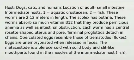 Host: Dogs, cats, and humans Location of adult: small intestine Intermediate hosts: 1 = aquatic crustacean, 2 = fish. These worms are 2-12 meters in length. The scolex has bothria. These worms absorb so much vitamin B12 that they produce pernicious anemia as well as intestinal obstruction. Each worm has a central rosette-shaped uterus and pore. Terminal proglottids detach in chains. Operculated eggs resemble those of trematodes (flukes). Eggs are unembryonated when released in feces. The metacestode is a plerocercoid with solid body and slit-like mouthparts found in the muscles of the intermediate host (fish).