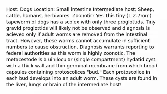 Host: Dogs Location: Small intestine Intermediate host: Sheep, cattle, humans, herbivores. Zoonotic: Yes This tiny (1.2-7mm) tapeworm of dogs has a scolex with only three proglottids. Tiny gravid proglottids will likely not be observed and diagnosis is acieved only if adult worms are removed from the intestinal tract. However, these worms cannot accumulate in sufficient numbers to cause obstruction. Diagnosis warrants reporting to federal authorities as this worm is highly zoonotic. The metacestode is a uinilocular (single compartment) hydatid cyst with a thick wall and thin germinal membrane from which brood capsules containing protoscolices "bud." Each protoscolice in each bud develops into an adult worm. These cysts are found in the liver, lungs or brain of the intermediate host!