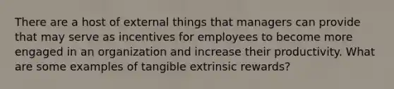 There are a host of external things that managers can provide that may serve as incentives for employees to become more engaged in an organization and increase their productivity. What are some examples of tangible extrinsic rewards?