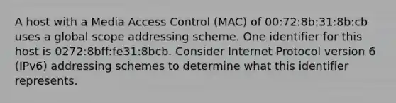 A host with a Media Access Control (MAC) of 00:72:8b:31:8b:cb uses a global scope addressing scheme. One identifier for this host is 0272:8bff:fe31:8bcb. Consider Internet Protocol version 6 (IPv6) addressing schemes to determine what this identifier represents.