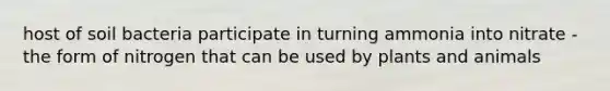 host of soil bacteria participate in turning ammonia into nitrate - the form of nitrogen that can be used by plants and animals