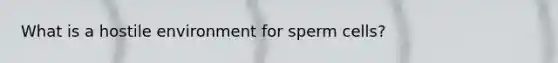 What is a hostile environment for sperm cells?