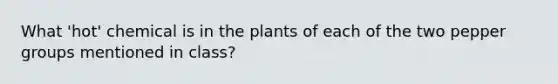 What 'hot' chemical is in the plants of each of the two pepper groups mentioned in class?