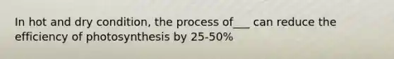 In hot and dry condition, the process of___ can reduce the efficiency of photosynthesis by 25-50%