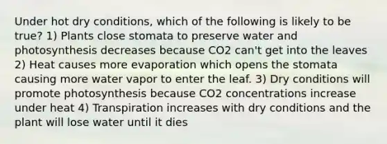 Under hot dry conditions, which of the following is likely to be true? 1) Plants close stomata to preserve water and photosynthesis decreases because CO2 can't get into the leaves 2) Heat causes more evaporation which opens the stomata causing more water vapor to enter the leaf. 3) Dry conditions will promote photosynthesis because CO2 concentrations increase under heat 4) Transpiration increases with dry conditions and the plant will lose water until it dies