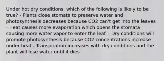 Under hot dry conditions, which of the following is likely to be true? - Plants close stomata to preserve water and photosynthesis decreases because CO2 can't get into the leaves - Heat causes more evaporation which opens the stomata causing more water vapor to enter the leaf. - Dry conditions will promote photosynthesis because CO2 concentrations increase under heat - Transpiration increases with dry conditions and the plant will lose water until it dies