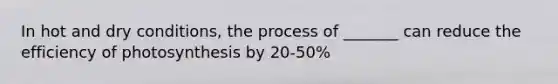 In hot and dry conditions, the process of _______ can reduce the efficiency of photosynthesis by 20-50%