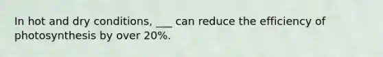 In hot and dry conditions, ___ can reduce the efficiency of photosynthesis by over 20%.