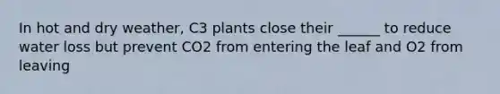 In hot and dry weather, C3 plants close their ______ to reduce water loss but prevent CO2 from entering the leaf and O2 from leaving