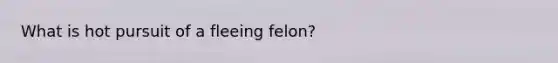 What is hot pursuit of a fleeing felon?