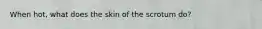 When hot, what does the skin of the scrotum do?