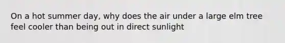 On a hot summer day, why does the air under a large elm tree feel cooler than being out in direct sunlight