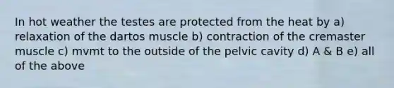 In hot weather the testes are protected from the heat by a) relaxation of the dartos muscle b) contraction of the cremaster muscle c) mvmt to the outside of the pelvic cavity d) A & B e) all of the above