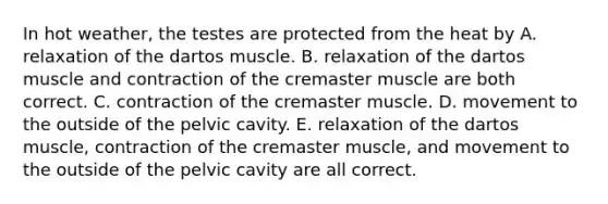 In hot weather, the testes are protected from the heat by A. relaxation of the dartos muscle. B. relaxation of the dartos muscle and contraction of the cremaster muscle are both correct. C. contraction of the cremaster muscle. D. movement to the outside of the pelvic cavity. E. relaxation of the dartos muscle, contraction of the cremaster muscle, and movement to the outside of the pelvic cavity are all correct.