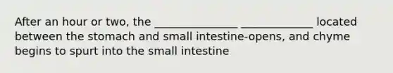 After an hour or two, the _______________ _____________ located between <a href='https://www.questionai.com/knowledge/kLccSGjkt8-the-stomach' class='anchor-knowledge'>the stomach</a> and small intestine-opens, and chyme begins to spurt into <a href='https://www.questionai.com/knowledge/kt623fh5xn-the-small-intestine' class='anchor-knowledge'>the small intestine</a>