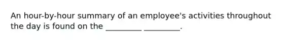 An hour-by-hour summary of an employee's activities throughout the day is found on the _________ _________.