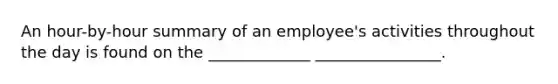 An hour-by-hour summary of an employee's activities throughout the day is found on the _____________ ________________.