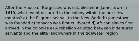 After the House of Burgesses was established in Jamestown in 1619, what event occurred in the colony within the next few months? a) the Pilgrims set sail to the New World b) Jamestown was founded c) tobacco was first cultivated d) African slaves first arrived in the colonies e) A rebellion erupted between indentured servants and the elite landowners in the tidewater region