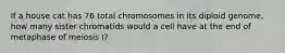 If a house cat has 76 total chromosomes in its diploid genome, how many sister chromatids would a cell have at the end of metaphase of meiosis I?