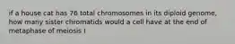 if a house cat has 76 total chromosomes in its diploid genome, how many sister chromatids would a cell have at the end of metaphase of meiosis I