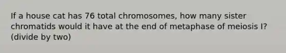 If a house cat has 76 total chromosomes, how many sister chromatids would it have at the end of metaphase of meiosis I? (divide by two)