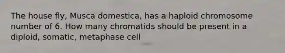 The house fly, Musca domestica, has a haploid chromosome number of 6. How many chromatids should be present in a diploid, somatic, metaphase cell