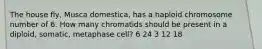 The house fly, Musca domestica, has a haploid chromosome number of 6. How many chromatids should be present in a diploid, somatic, metaphase cell? 6 24 3 12 18