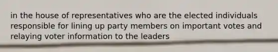 in the house of representatives who are the elected individuals responsible for lining up party members on important votes and relaying voter information to the leaders