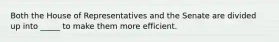 Both the House of Representatives and the Senate are divided up into _____ to make them more efficient.